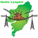 Logo for Radio Lyngdal / Din Nærradio
