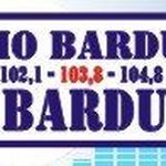 Logo for Radio Bardufoss / FM 100.3